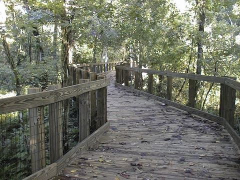 Oakland Nature Preserve Boardwalk