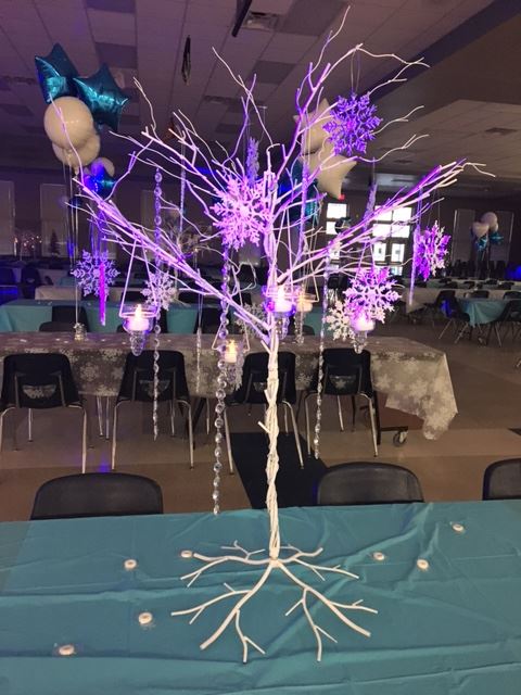 Father Daughter Dance 2017