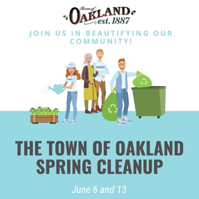 Spring Cleanup 2020 