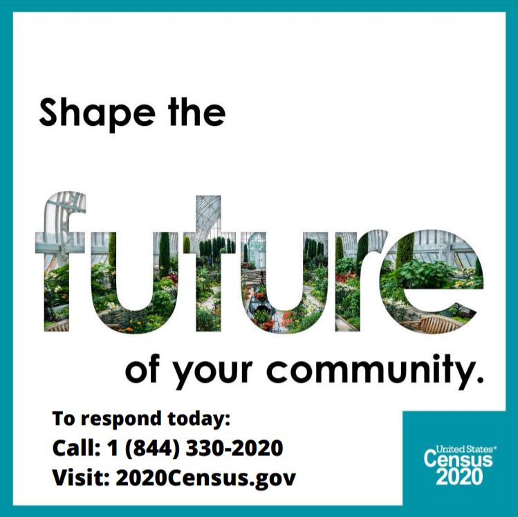 Respond to the Census