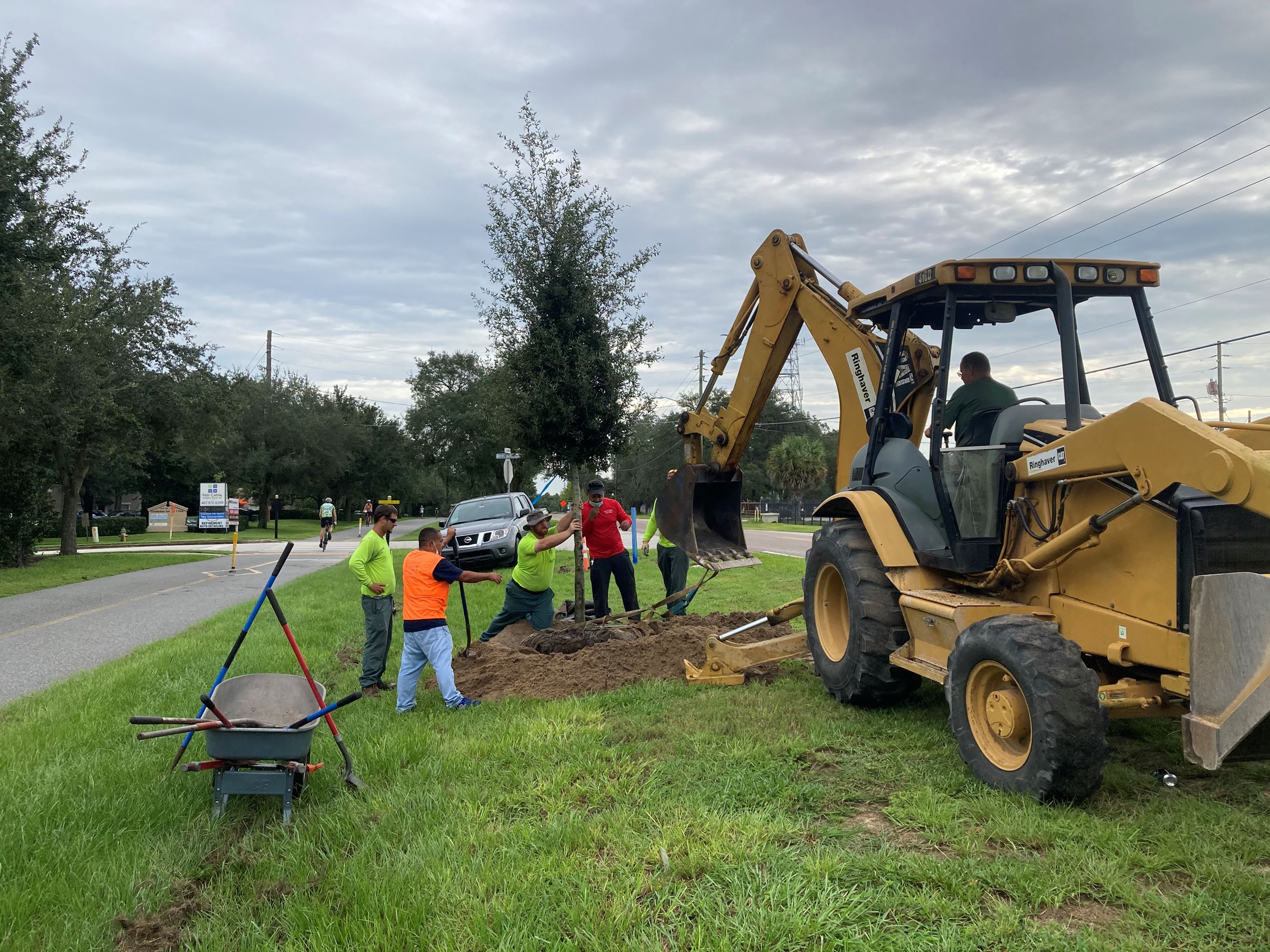 Public Works staff planted more than 30 trees last week