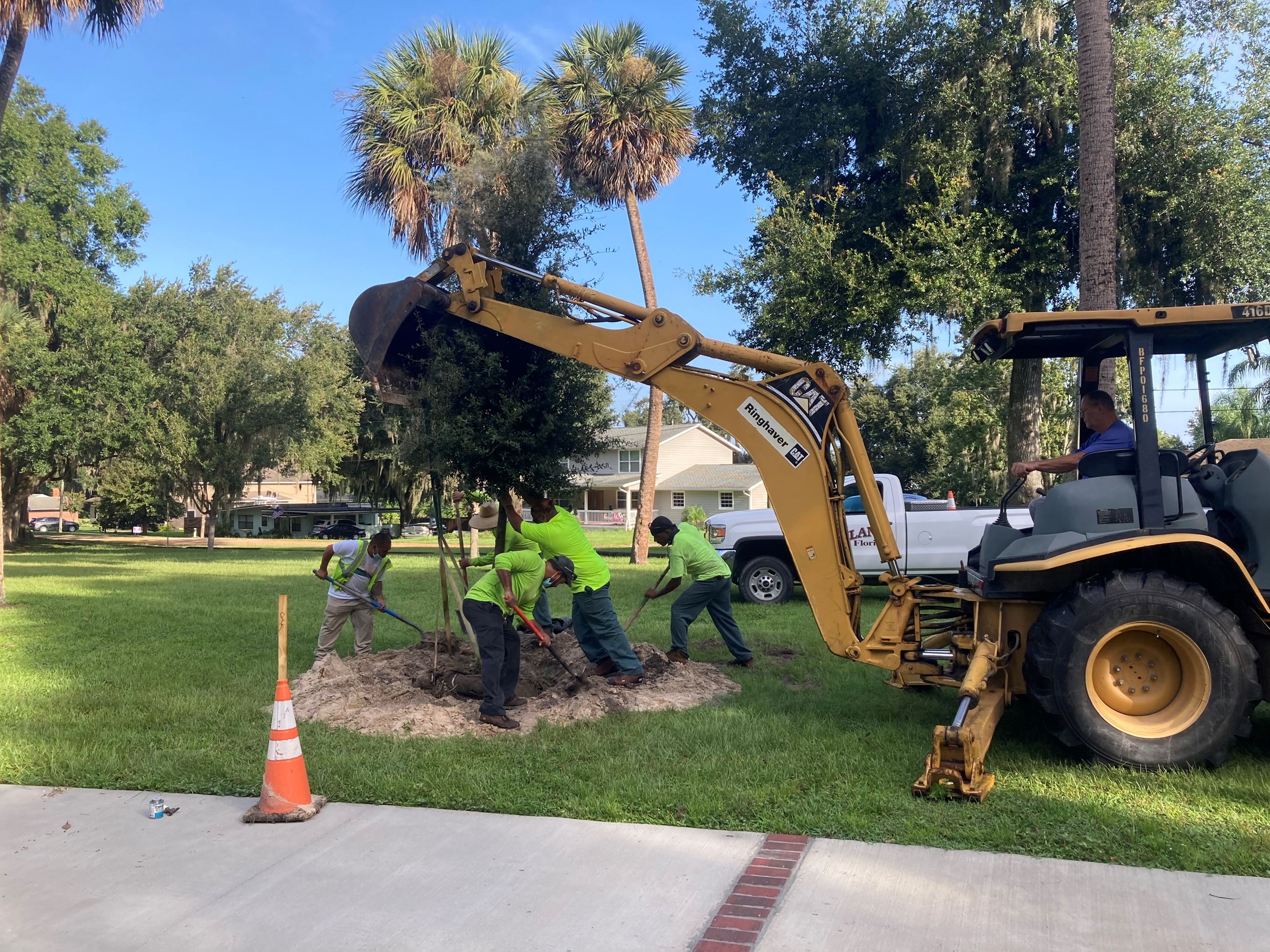 Workers plant a tree