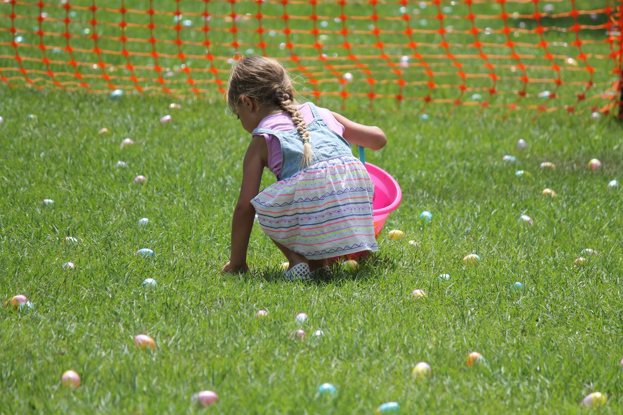 Celebration Among the Oaks