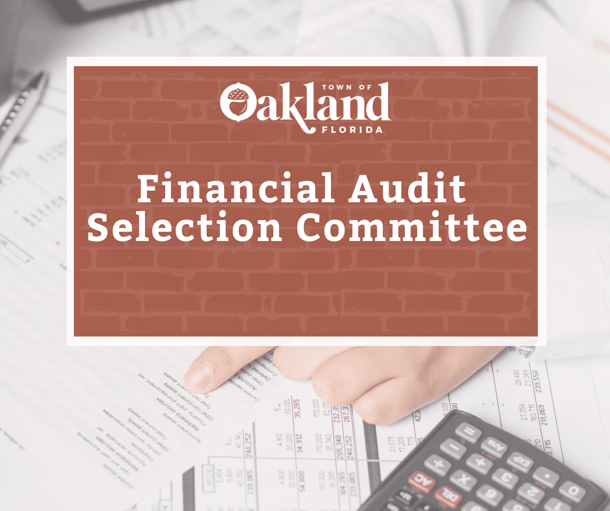 Financial Audit