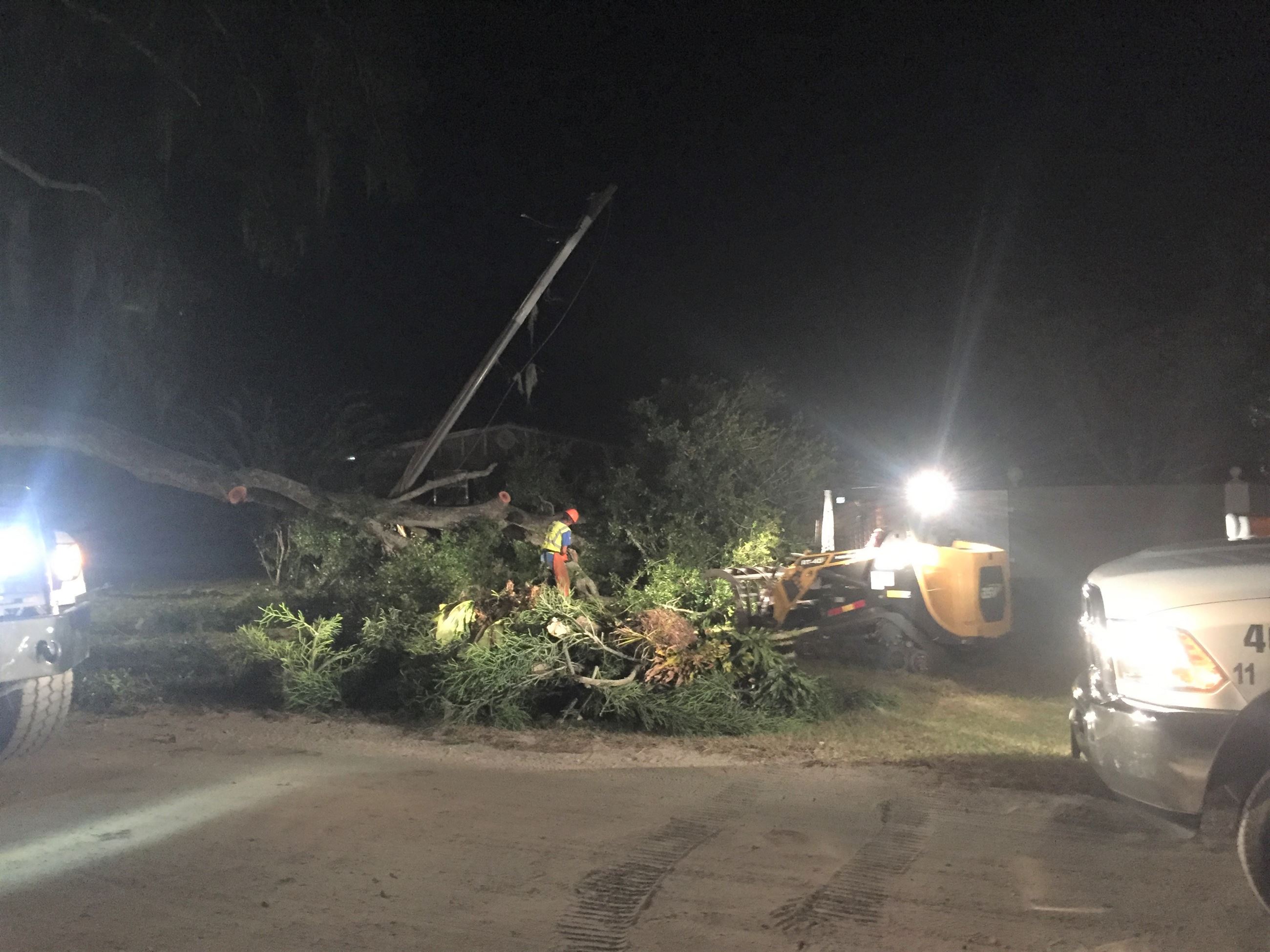 Broken tree limb and power pole 100119